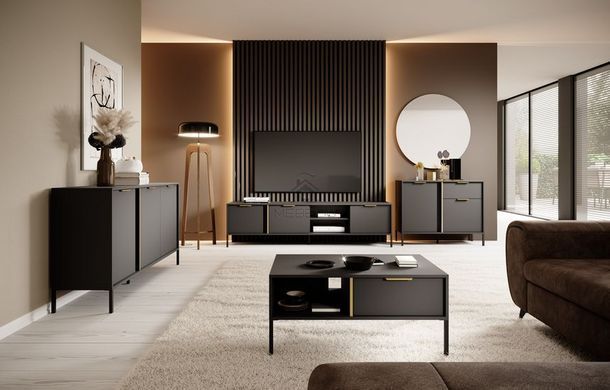 Комод Perfect Home Ларс/Lars 2-дверный с 1 ящиком 2DS/104 Антрацит фотография