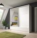 Шафа-купе Perfect Home Арія I / Aria I 200 2-дверна з дзеркалом Білий/білий глянець
