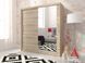 Шкаф-купе Perfect Home Моя I / Maja I 200 2-дверная с зеркалом Дуб сонома фотография