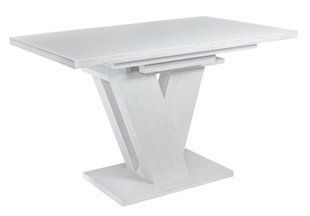 Стол Обеденный DAOSUN DT 402 U 120-80 Белый фотография