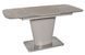 Стол Обеденный DAOSUN DT 874 120-80 Серый