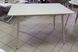 Стол Обеденный DAOSUN DT 859 120-80 Шампань