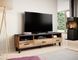 ТВ Тумба LOTTA 3S3K RTV Cama 180 Черный Мат / Дуб Вотан фотография